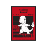 Protector Pokémon Charmander