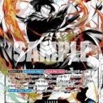 Portgas.D.Ace (Parallel) - ST13 The Three Brothers
