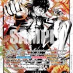 Monkey.D.Luffy (Parallel) - ST13 The Three Brothers